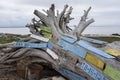 Old abandoned boat licence signs attached to a stump on the beach