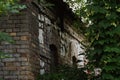 Old abandoned brick building with horses in the forest Royalty Free Stock Photo