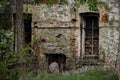 Old abandoned brick building with horses in the forest Royalty Free Stock Photo