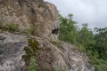 Old abandoned bunker in the woods. Military Fort. Fort number 10, Vladivostok, Russia