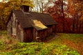 Old Abandoned Cabin in the Woods of Ashridge Estate, Hertfordshire, England in Autimn Royalty Free Stock Photo