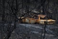 Old abandoned car burnt out during bush fires Royalty Free Stock Photo