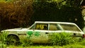 abandoned car, graffitied and covered by plants