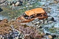 Old and abandoned car in the river Royalty Free Stock Photo