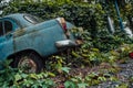 The old abandoned car was overgrown with vegetation Royalty Free Stock Photo