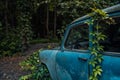 The old abandoned car was overgrown with vegetation Royalty Free Stock Photo