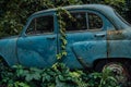 The old abandoned car was overgrown with vegetation Royalty Free Stock Photo