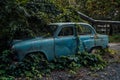 The old abandoned car was overgrown with vegetation Royalty Free Stock Photo