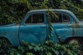 The old abandoned car was overgrown with vegetation Royalty Free Stock Photo