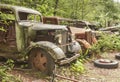 Old abandoned cars at Opal Creek Mining Town.