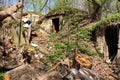 Old abandoned cellars