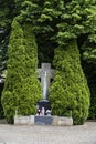 Old abandoned cemetery, a grave with a stone cross, a cross on a burial in the forest Royalty Free Stock Photo