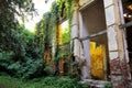 Old abandoned concrete factory structure overtaken by nature / Rusty old ruinous and abandoned building of factory.