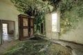 Old abandoned farmhouse with room ruined by green mold Royalty Free Stock Photo