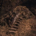 Old abandoned dilapidated stone steps in nature overgrown with moss Royalty Free Stock Photo