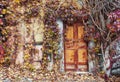 Old abandoned doors overgrown with vines in autumn