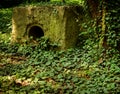 Old abandoned drainage station covered in vines