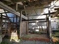 Old abandoned farm cow shed Royalty Free Stock Photo