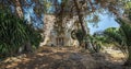 Old abandoned farmhouse with tree-lined avenue to country house Royalty Free Stock Photo