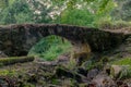Old abandoned Genovese bridge in Corsica - 1 Royalty Free Stock Photo