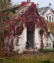 An old abandoned greenhouse in an autumn park, Konig Palace, Ukraine