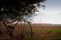 Old Abandoned Harvester On The Summer Fields Royalty Free Stock Photo