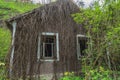 Old abandoned house covered with vines Royalty Free Stock Photo