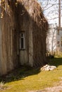 Old abandoned house, overgrown with plants and branches from roof to floor, facade Royalty Free Stock Photo