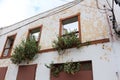 Old abandoned house with plants growing from stonework Royalty Free Stock Photo