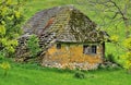 Abandoned house in countryside