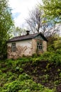 Old abandoned house among the thickets of greenery Royalty Free Stock Photo