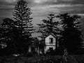 Old abandoned house between trees in black and white Royalty Free Stock Photo