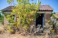 An old abandoned house in the village, overgrown with thickets and grass. Ancient clay dwelling Royalty Free Stock Photo