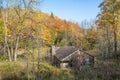 Old Abandoned House in the Woods Royalty Free Stock Photo