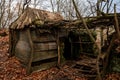 Old abandoned hut in forest, wooden building, rotten floor and collapsed roof, hut made of sticks and branches, Autumn landscape