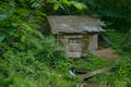 old abandoned hut in the woods in a ravine near a spring Royalty Free Stock Photo