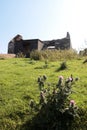 Old abandoned irish cottage ruin Royalty Free Stock Photo