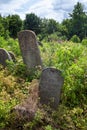 Old abandoned Jewish cemetery in Ukraine Royalty Free Stock Photo