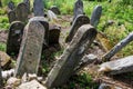 Old abandoned Jewish cemetery in Ukraine Royalty Free Stock Photo