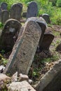 Old abandoned Jewish cemetery in Ukraine Royalty Free Stock Photo