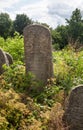 Old abandoned Jewish cemetery in Ukraine Royalty Free Stock Photo