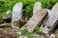 Old abandoned Jewish cemetery in Ukraine Royalty Free Stock Photo