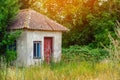 Old abandoned little house overgrown with trees on the edge of the forest Royalty Free Stock Photo
