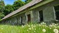 Old abandoned long house in poor condition. Bars and cracked panes in the windows. Around the tree and dandelions in the grass. Royalty Free Stock Photo