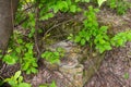 Old abandoned manhole