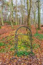 Old abandoned metal door on a hill between autumn trees with the ground covered with dry leaves Royalty Free Stock Photo