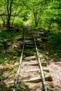 Old abandoned mining train rails in the dark forest Royalty Free Stock Photo