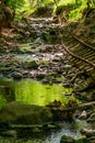 Old abandoned mining train rails in the dark forest Royalty Free Stock Photo