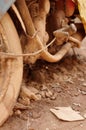 Old abandoned motorcycle with rusty components in the dust Royalty Free Stock Photo