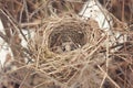Old abandoned nest of wild Royalty Free Stock Photo